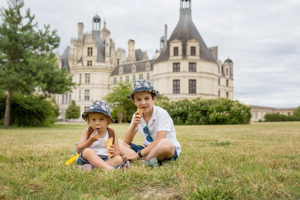 Niños Comiendo Helado Las Instalaciones Del Castillo Chambord Valle Del — Foto de Stock