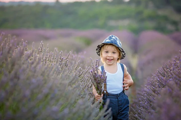 Söt Liten Pojke Vacker Pojke Leker Lavendelfält Vid Solnedgången — Stockfoto