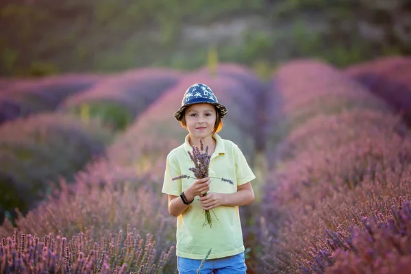 Sevimli Küçük Çocuk Güzel Çocuk Gün Batımında Lavanta Tarlasında Oynuyor — Stok fotoğraf