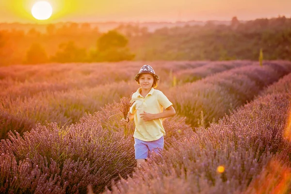 Cute Little Child Beautiful Boy Playing Lavender Field Sunset — Stock Photo, Image