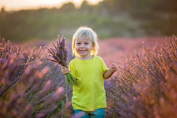 Söt Liten Pojke Vacker Pojke Leker Lavendelfält Vid Solnedgången — Stockfoto