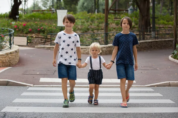 Bambini Fratelli Maschi Fratelli Che Tengono Mano Attraversano Strada Estate — Foto Stock