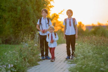 Okul çocukları, çocuklar, yaz tatilinden sonra okula dönmek, çocuklar okula gitmek.