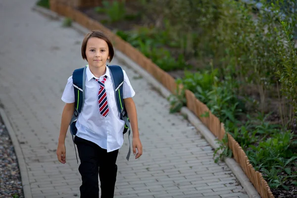 Шкільна Дитина Хлопчик Повертається Школи Після Літніх Канікул Дитина Ходить — стокове фото