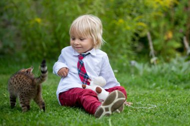 Cute child, boy, playing with little brown kitten in the park before school clipart