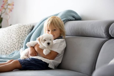 Sevimli küçük sarışın çocuk, yeni yürümeye başlayan çocuk, evde beyaz köpek yavrusuyla oynuyor.