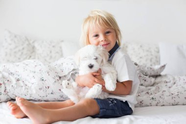 Sevimli küçük sarışın çocuk, yeni yürümeye başlayan çocuk, evde beyaz köpek yavrusuyla kitap okuyor.