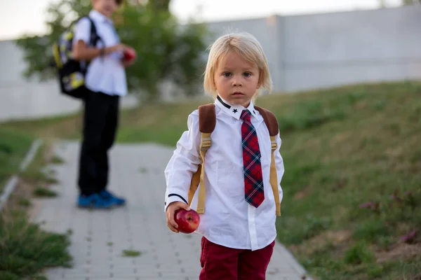 Förskoleblont Barn Söt Pojke Uniform Håller Äpple Går Förskolan För — Stockfoto