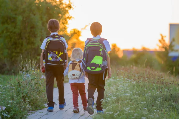 School Children Boys Going Back School Summer Vacation Kids Going — Stock Photo, Image