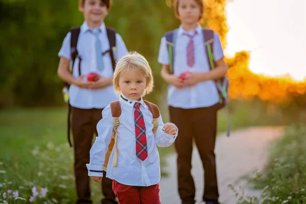 Szkolne Dzieci Chłopcy Wracający Szkoły Wakacjach Dzieci Idące Szkoły — Zdjęcie stockowe