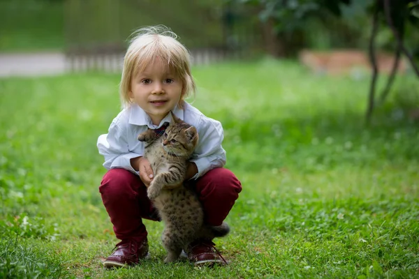Carino Bambino Ragazzo Giocare Con Piccolo Gattino Marrone Nel Parco — Foto Stock