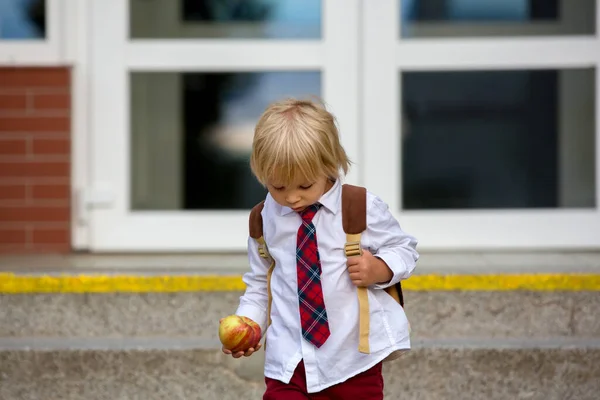 Anaokulu Sarışın Çocuğu Üniformalı Yakışıklı Çocuk Elma Tutuyor Yaz Tatilinden — Stok fotoğraf