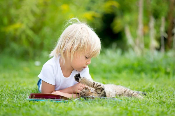 Söt Blond Småbarn Söt Pojke Leka Trädgården Med Liten Kattunge — Stockfoto