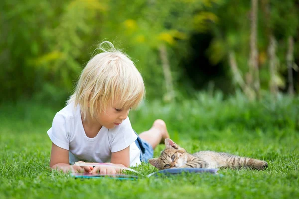 Niedliches Blondes Kleinkind Süßer Junge Spielt Garten Mit Kleinen Kätzchen — Stockfoto