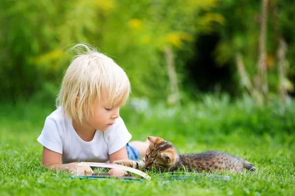 Niedliches Blondes Kleinkind Süßer Junge Spielt Garten Mit Kleinen Kätzchen — Stockfoto