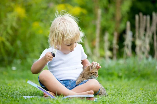 Cute Blond Toddler Child Sweet Boy Playing Garden Little Kitten — Stock Photo, Image