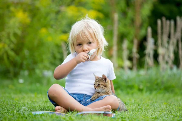 Cute Blond Maluch Dziecko Słodki Chłopiec Zabawy Ogrodzie Małym Kotkiem — Zdjęcie stockowe