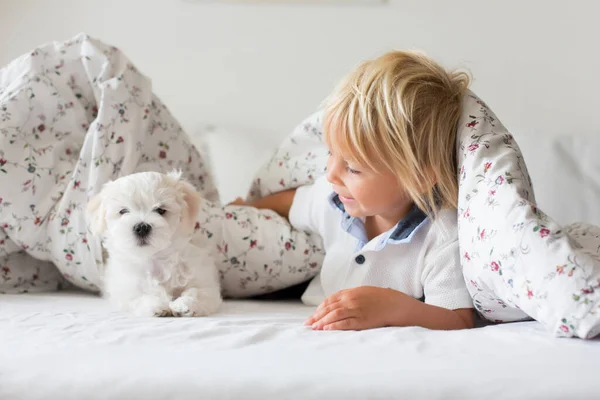 Bonito Criança Loira Menino Criança Livro Leitura Com Cachorro Branco — Fotografia de Stock