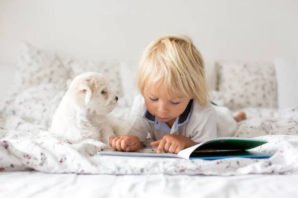 Cute Little Blond Child Toddler Boy Reading Book White Puppy — Stock Photo, Image