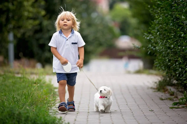 Carino Bambino Con Cucciolo Maltese Bianco Giocare Nel Parco Camminare — Foto Stock