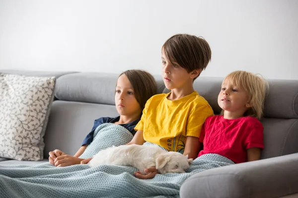 Słodkie Dzieci Bracia Oglądający Telewizję Małym Pieskiem Leżącym Sofie Miękkim — Zdjęcie stockowe