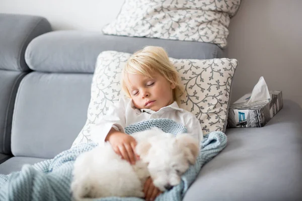 Criança Doente Menino Criança Deitada Sofá Com Seu Cachorro Branco — Fotografia de Stock