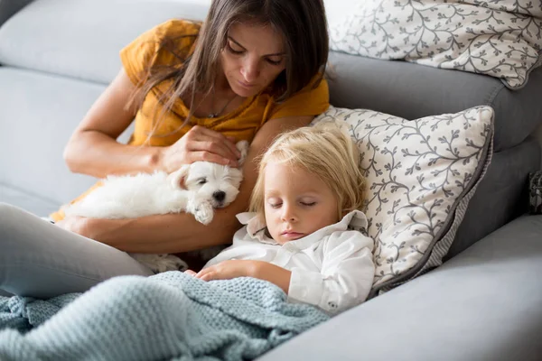 Criança Doente Menino Criança Deitada Sofá Com Seu Cachorro Branco — Fotografia de Stock