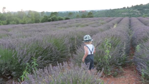 Schattig Klein Kind Mooie Jongen Spelen Lavendelveld Bij Zonsondergang — Stockvideo