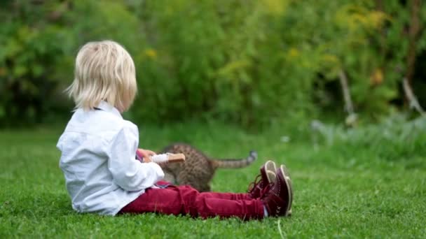 Nettes Blondes Kleinkind Süßer Junge Spielt Garten Mit Kleinen Braunen — Stockvideo