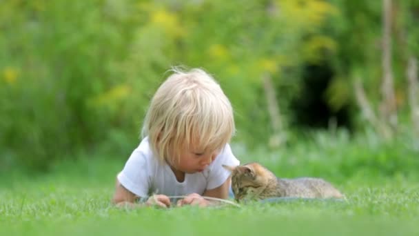 귀여운 금발의 귀여운 귀여운 고양이와 정원에서 놀면서 아이스크림을 — 비디오