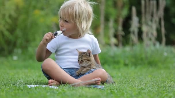 Lindo Niño Rubio Dulce Niño Jugando Jardín Con Gatito Comiendo — Vídeos de Stock