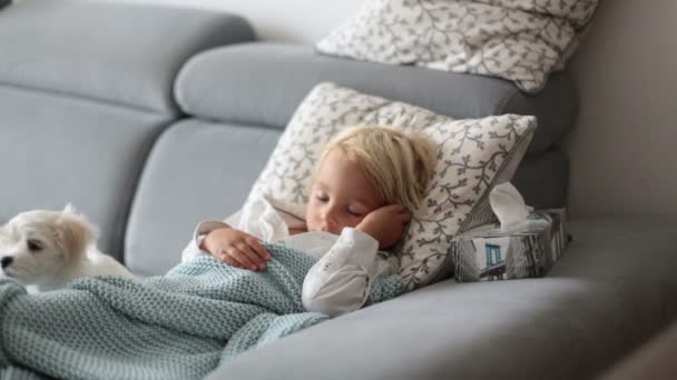 Άρρωστο Παιδί Μικρό Αγόρι Ξαπλωμένο Στον Καναπέ Στο Σαλόνι Πυρετό — Αρχείο Βίντεο