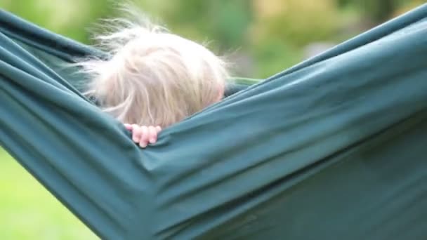 Niño Pequeño Niño Rubio Jugando Con Perrito Maltés Jardín Metraje De Stock