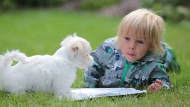 Bambino Bambino Ragazzo Biondo Che Gioca Con Cagnolino Maltese Giardino — Video Stock