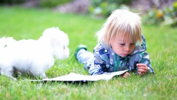 Bambino Bambino Ragazzo Biondo Che Gioca Con Cagnolino Maltese Giardino — Video Stock