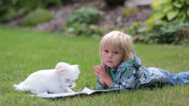 Petit Enfant Bas Âge Garçon Blond Jouer Avec Petit Chien — Video