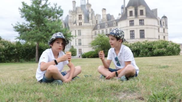 子供たち 夏の日にフランスのロワール渓谷の城の敷地内でアイスクリームを食べる — ストック動画