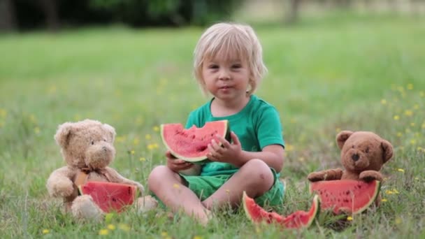 Criança Pequena Bonito Menino Loiro Comendo Melancia Parque Com Amigo — Vídeo de Stock