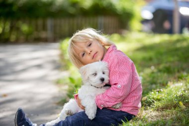Çocuk, sevimli çocuk, parkta köpek evcil hayvanıyla oynuyor, kötü huylu köpek ve çocuk birlikte yürümekten hoşlanıyor.