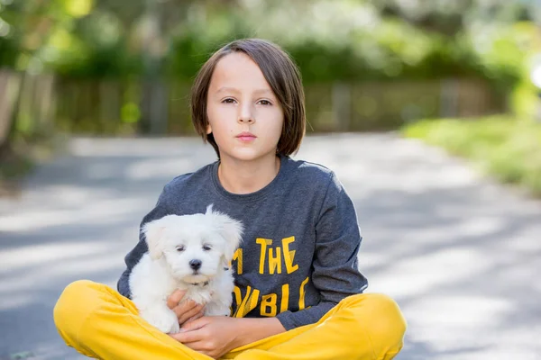 Child Cute Boy Playing Dog Pet Park Maltese Dog Kid — Stock Photo, Image