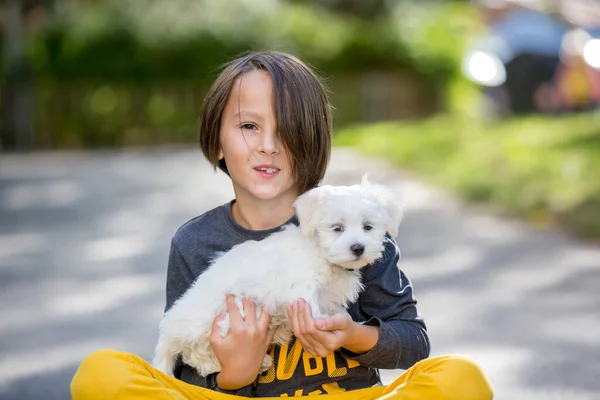 Barn Söt Pojke Leka Med Hund Husdjur Parken Maltesiska Hund — Stockfoto