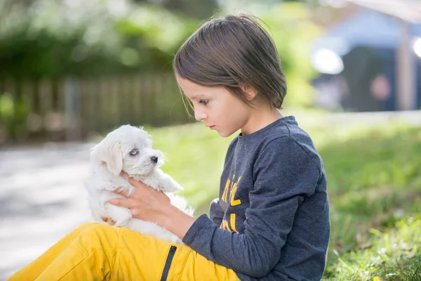 Çocuk Sevimli Çocuk Parkta Köpek Evcil Hayvanıyla Oynuyor Kötü Huylu — Stok fotoğraf