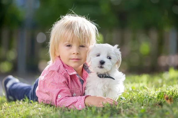 Enfant Mignon Garçon Jouant Avec Chien Animal Compagnie Dans Parc — Photo