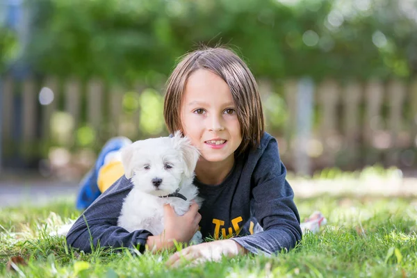 Enfant Mignon Garçon Jouant Avec Chien Animal Compagnie Dans Parc — Photo