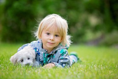 Küçük çocuk, sarışın çocuk, sonbaharda bahçedeki küçük Malta yavru köpeğiyle oynuyor.