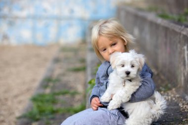 Çocuk, sevimli çocuk, parkta köpek evcil hayvanıyla oynuyor, kötü huylu köpek ve çocuk birlikte yürümekten hoşlanıyor.