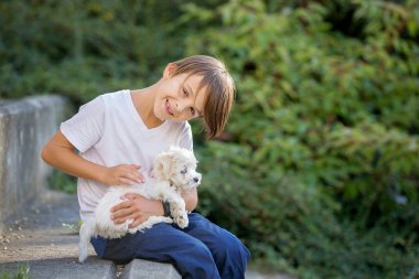 Çocuk, sevimli çocuk, parkta köpek evcil hayvanıyla oynuyor, kötü huylu köpek ve çocuk birlikte yürümekten hoşlanıyor.