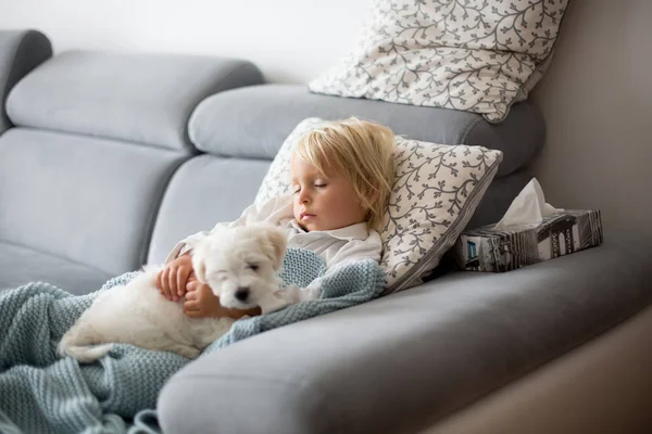 生病的小孩 蹒跚学步的小孩 带着他的白狗躺在沙发上 发烧躺在客厅里 在家里休息 — 图库照片