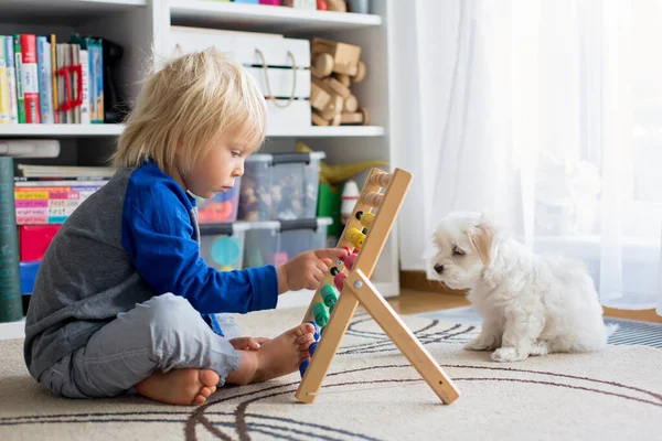 かわいい就学前の子供 自宅でそろばんで遊んで 小さなペットの犬が彼の周りで遊んでいます — ストック写真