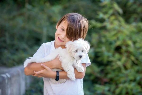 Çocuk Sevimli Çocuk Parkta Köpek Evcil Hayvanıyla Oynuyor Kötü Huylu — Stok fotoğraf